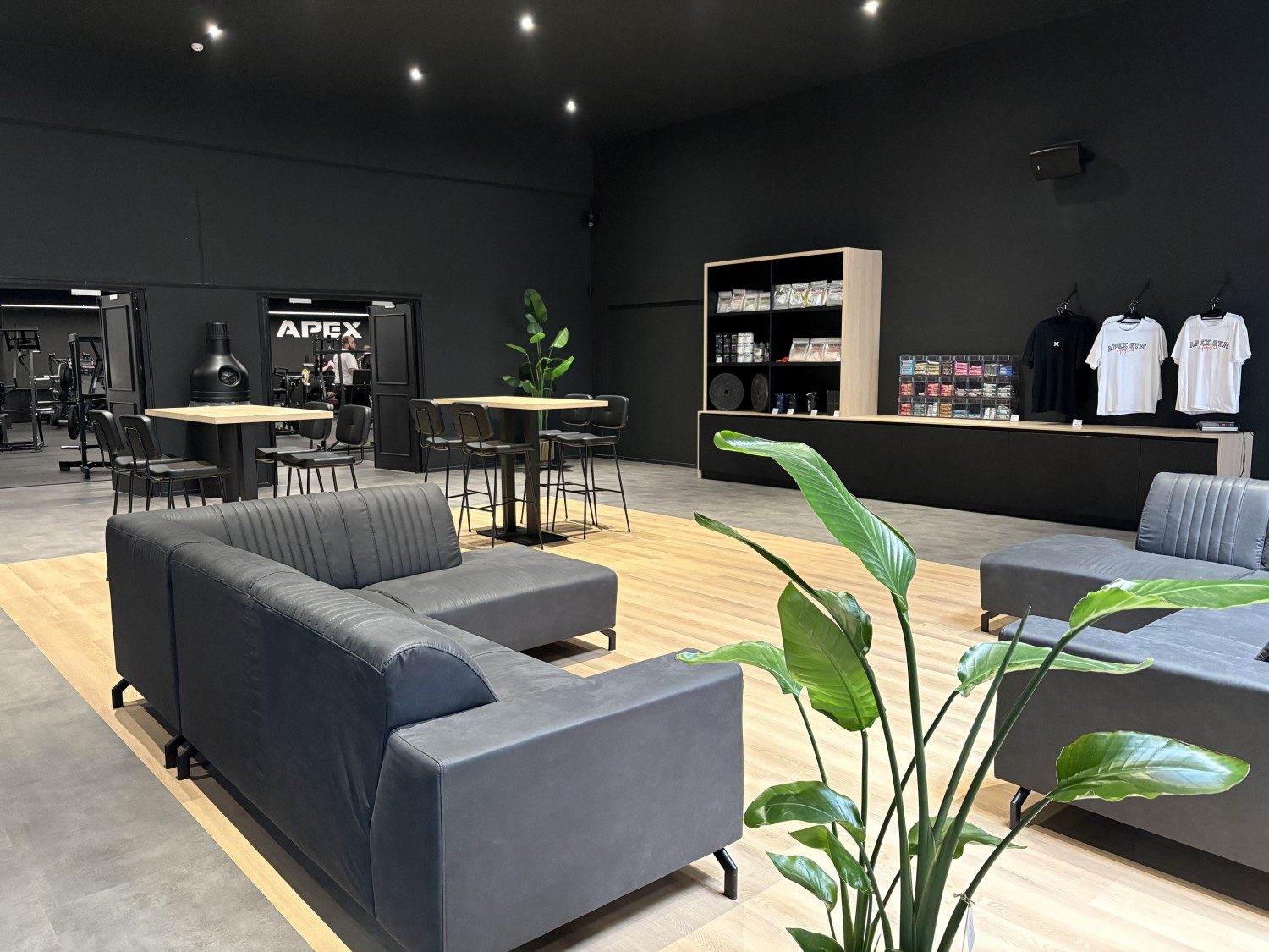 Lounge APEX